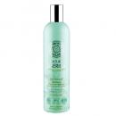 Natura Siberica - Šampon pro citlivou pokožku hlavy - Proti lupům (Anti Dandruff Shampoo) 400 ml