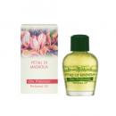 Frais Monde - Parfémovaný olej Frais Monde Magnolia Flower Perfumed Oil 12ml Květ Magnolie
